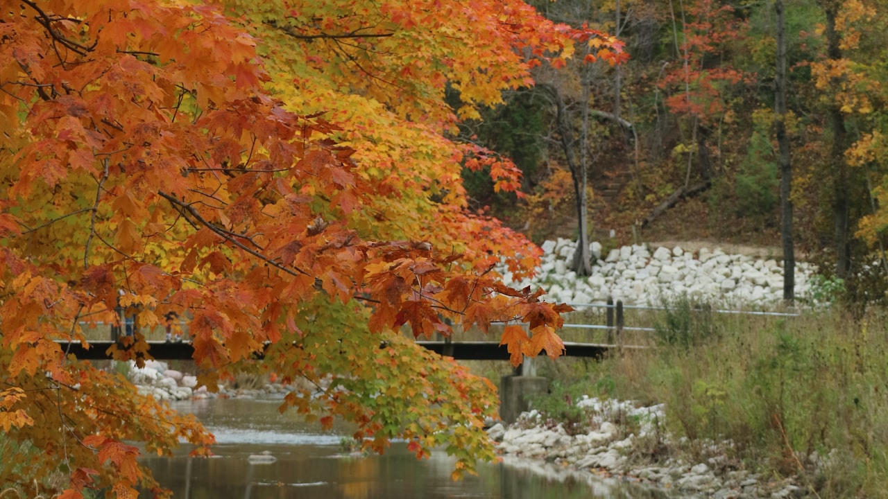 What are eyelashes made of?