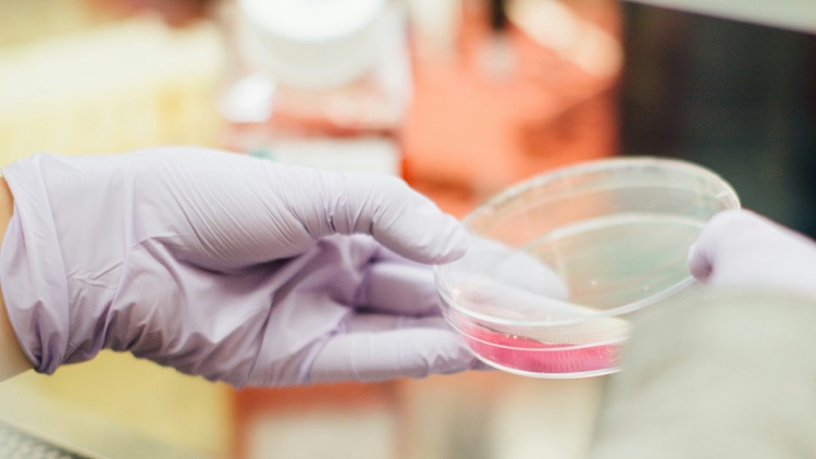 Reduced Glutathione Powder: A B2B Buyer Guide to Quality and Documentation